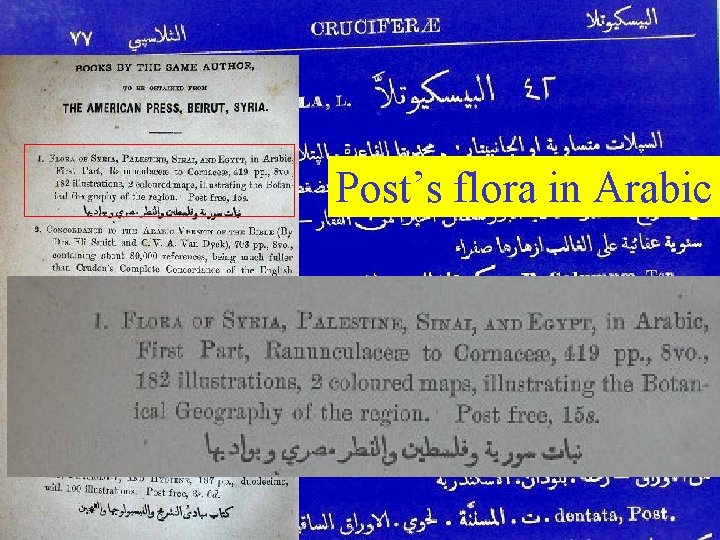 Post’s flora in Arabic 