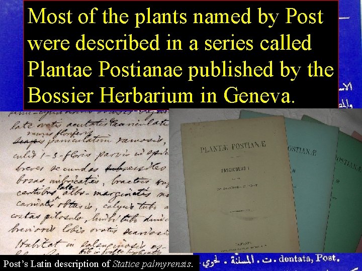 Most of the plants named by Post were described in a series called Plantae