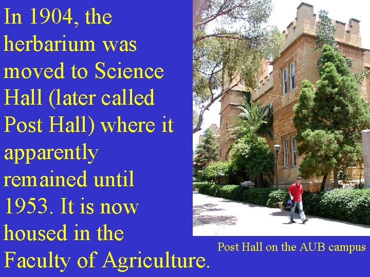 In 1904, the herbarium was moved to Science Hall (later called Post Hall) where