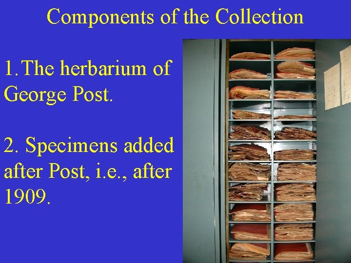 Components of the Collection 1. The herbarium of George Post. 2. Specimens added after
