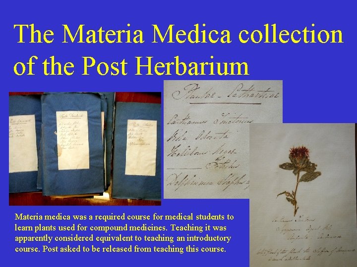 The Materia Medica collection of the Post Herbarium Materia medica was a required course