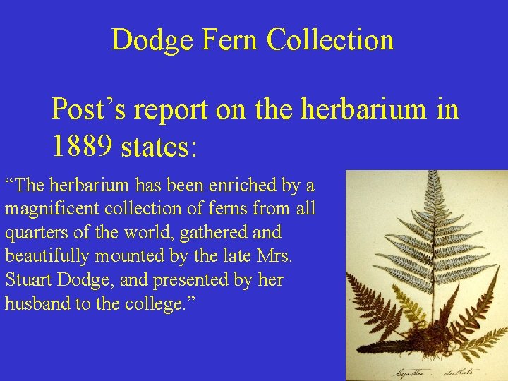 Dodge Fern Collection Post’s report on the herbarium in 1889 states: “The herbarium has