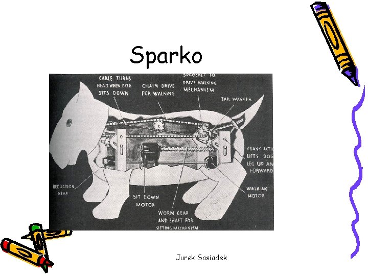 Sparko Jurek Sasiadek 