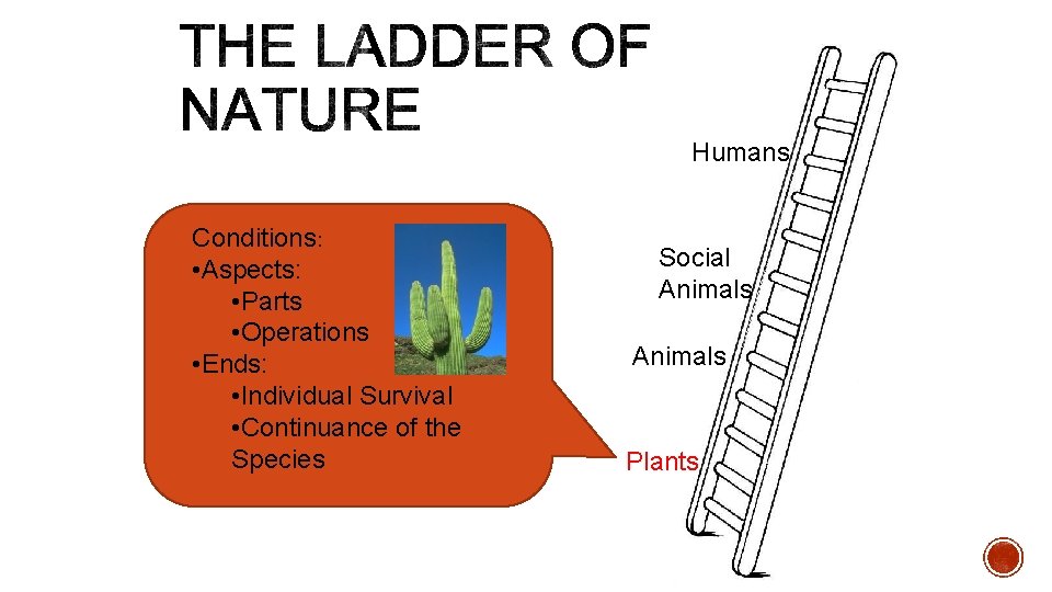 Humans Conditions: • Aspects: • Parts • Operations • Ends: • Individual Survival •