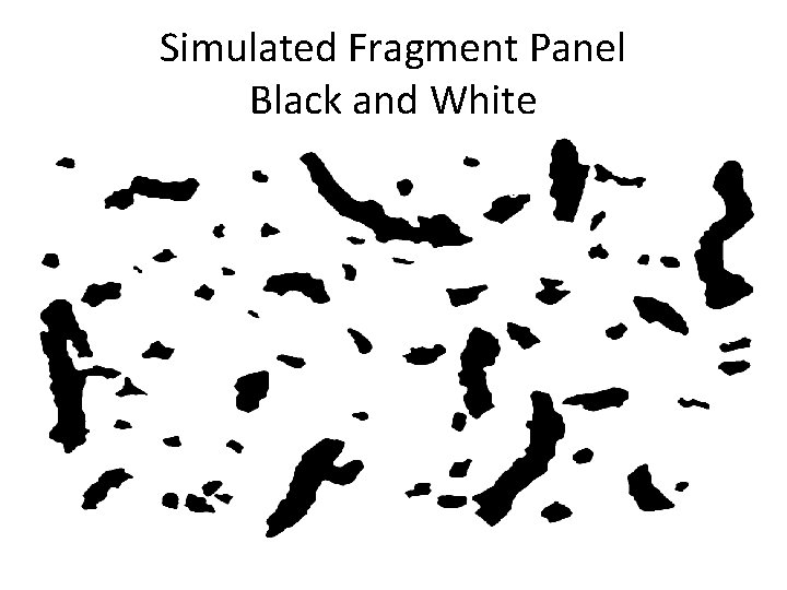 Simulated Fragment Panel Black and White 