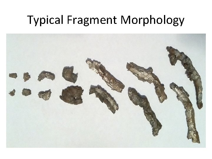Typical Fragment Morphology 