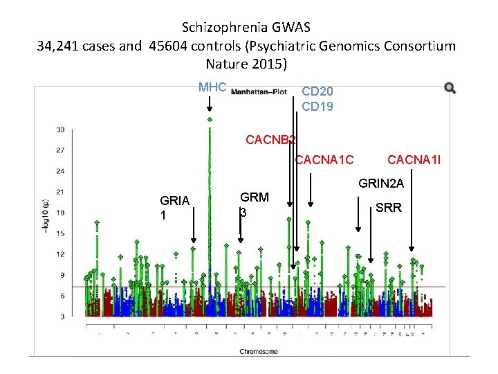 Schizophrenia GWAS 34, 241 cases and 45604 controls (Psychiatric Genomics Consortium Nature 2015) MHC