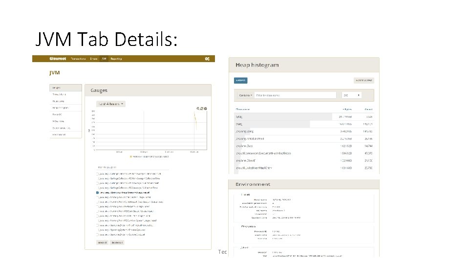 JVM Tab Details: Tech. M Public 