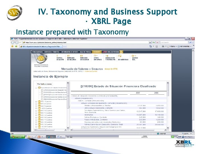 IV. Taxonomy and Business Support · XBRL Page Instance prepared with Taxonomy 