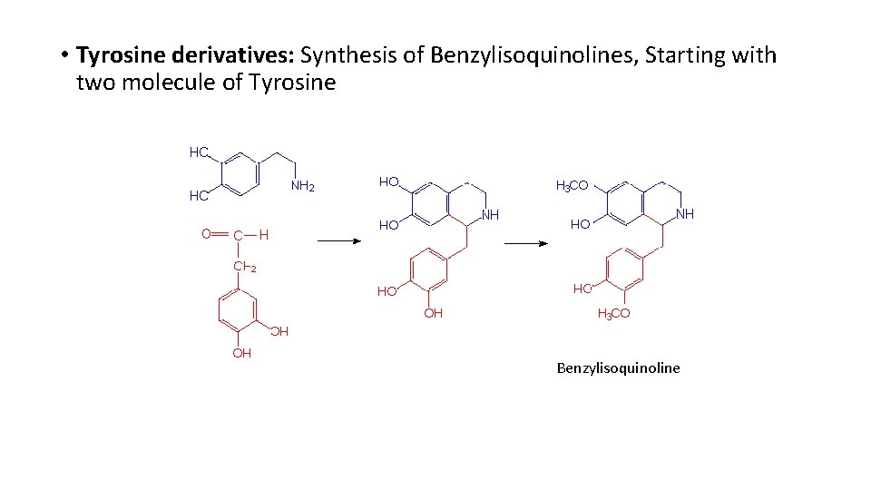  • Tyrosine derivatives: Synthesis of Benzylisoquinolines, Starting with two molecule of Tyrosine Benzylisoquinoline