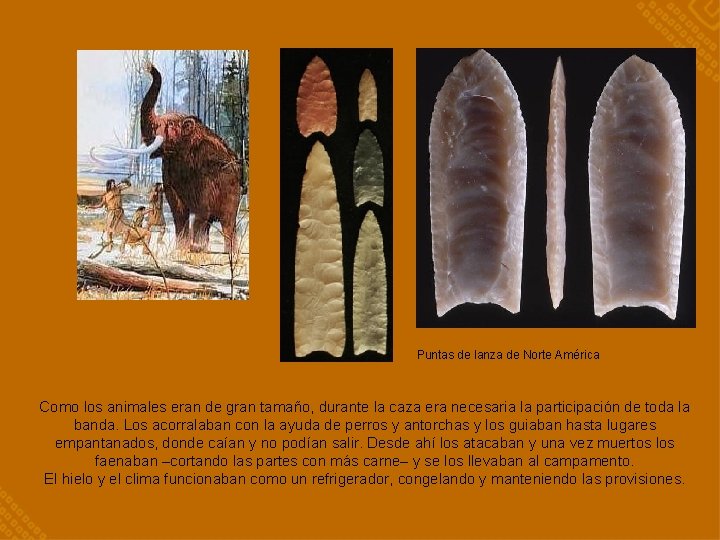 Puntas de lanza de Norte América Como los animales eran de gran tamaño, durante