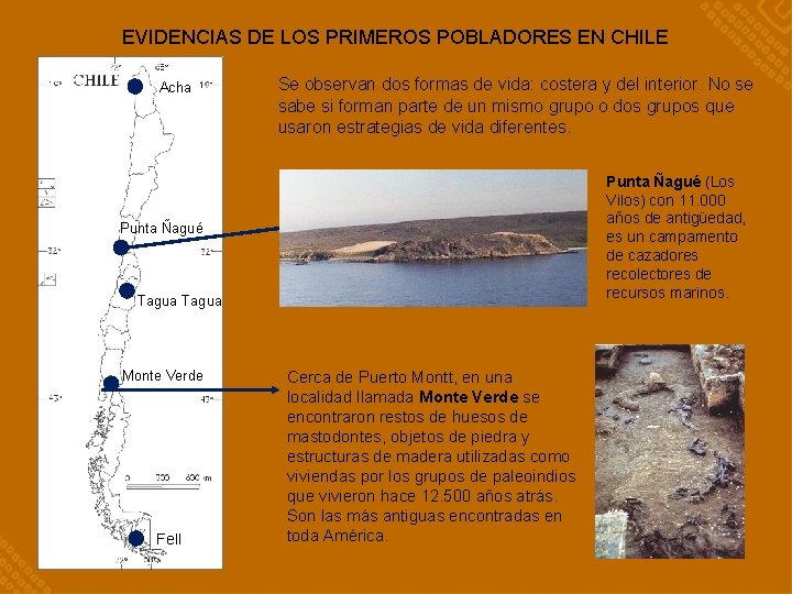 EVIDENCIAS DE LOS PRIMEROS POBLADORES EN CHILE Acha Se observan dos formas de vida: