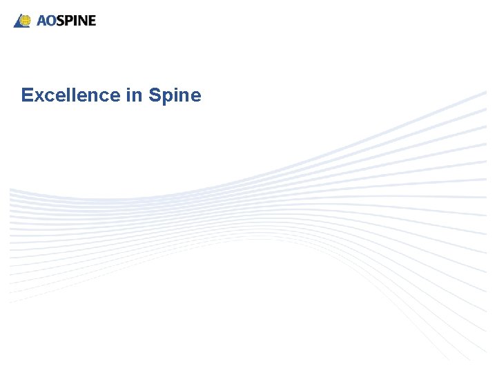 Excellence in Spine 