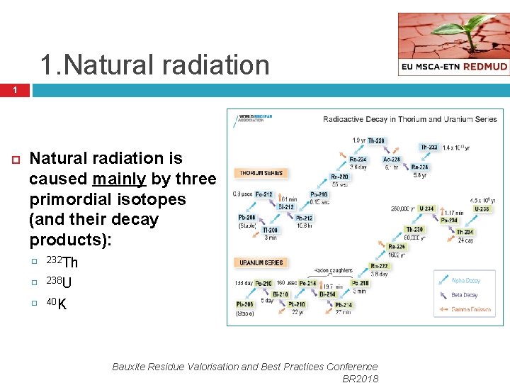 1. Natural radiation 1 Natural radiation is caused mainly by three primordial isotopes (and
