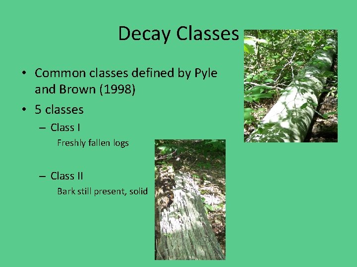 Decay Classes • Common classes defined by Pyle and Brown (1998) • 5 classes