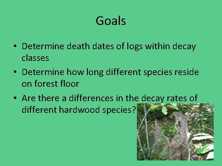 Goals • Determine death dates of logs within decay classes • Determine how long