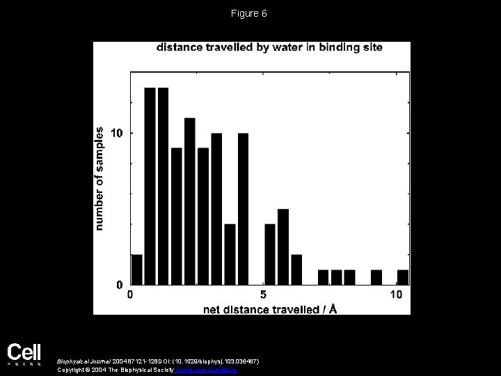 Figure 6 Biophysical Journal 2004 87121 -128 DOI: (10. 1529/biophysj. 103. 036467) Copyright ©