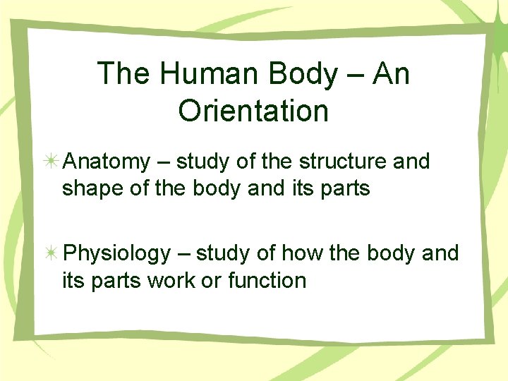 The Human Body – An Orientation Anatomy – study of the structure and shape