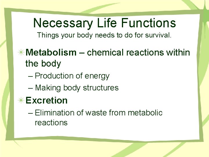Necessary Life Functions Things your body needs to do for survival. Metabolism – chemical
