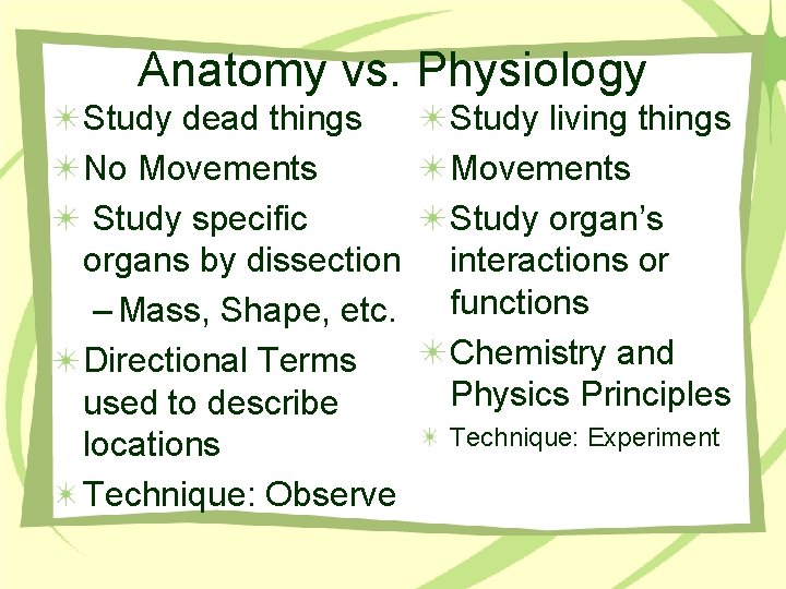 Anatomy vs. Physiology Study dead things No Movements Study specific organs by dissection –