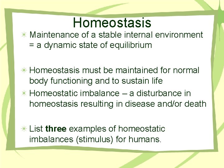 Homeostasis Maintenance of a stable internal environment = a dynamic state of equilibrium Homeostasis