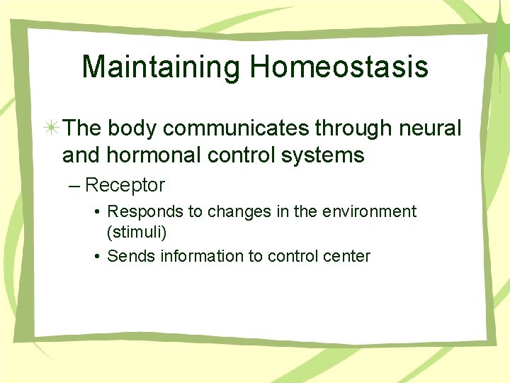 Maintaining Homeostasis The body communicates through neural and hormonal control systems – Receptor •