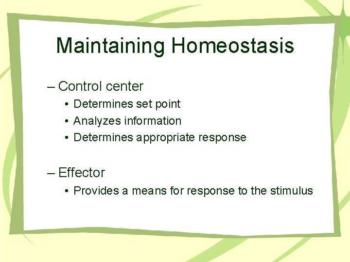 Maintaining Homeostasis – Control center • Determines set point • Analyzes information • Determines