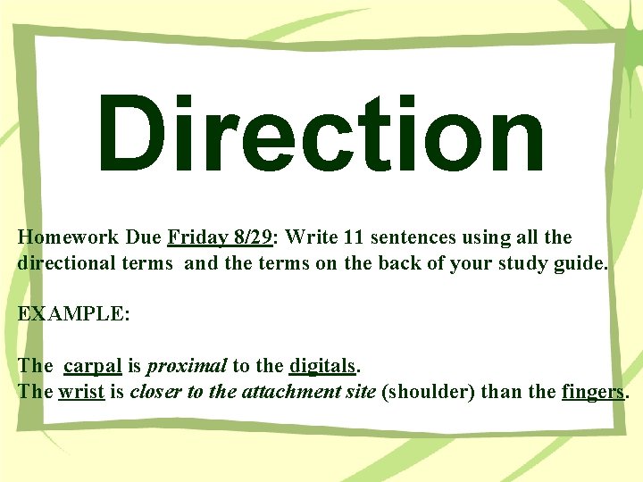 Direction Homework Due Friday 8/29: Write 11 sentences using all the directional terms and