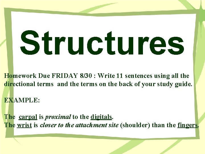 Structures Homework Due FRIDAY 8/30 : Write 11 sentences using all the directional terms