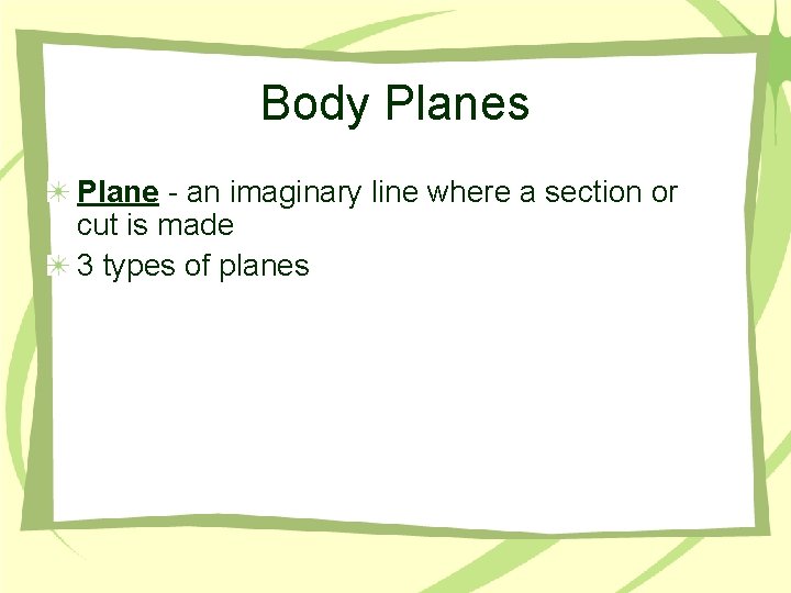 Body Planes Plane - an imaginary line where a section or cut is made