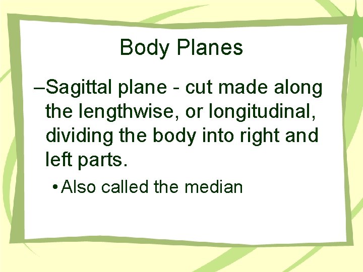 Body Planes –Sagittal plane - cut made along the lengthwise, or longitudinal, dividing the