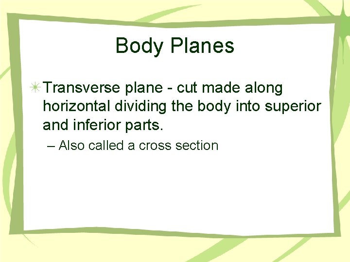 Body Planes Transverse plane - cut made along horizontal dividing the body into superior