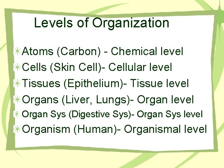 Levels of Organization Atoms (Carbon) - Chemical level Cells (Skin Cell)- Cellular level Tissues