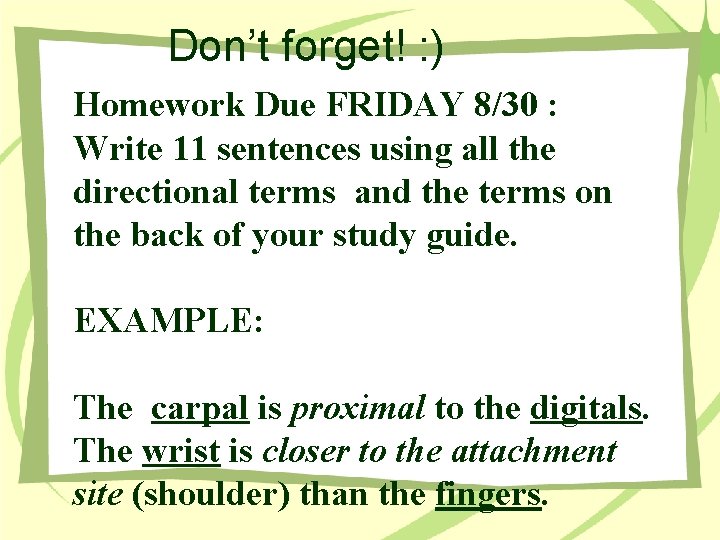 Don’t forget! : ) Homework Due FRIDAY 8/30 : Write 11 sentences using all
