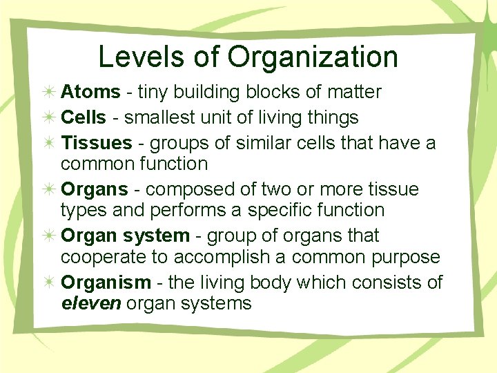 Levels of Organization Atoms - tiny building blocks of matter Cells - smallest unit