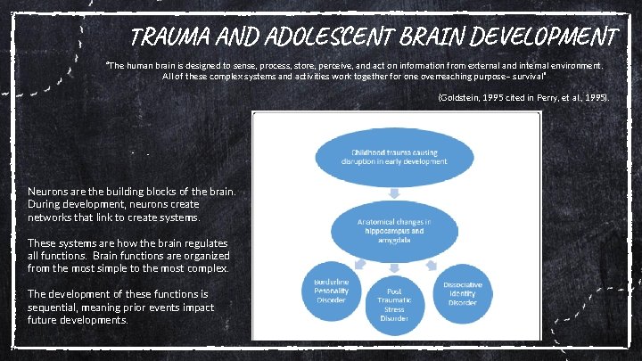 TRAUMA AND ADOLESCENT BRAIN DEVELOPMENT “The human brain is designed to sense, process, store,