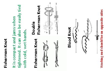 Double Fisherman Knot Working end should be on opposite sides Blood Knot Fisherman Knot