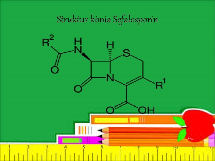 Struktur kimia Sefalosporin 