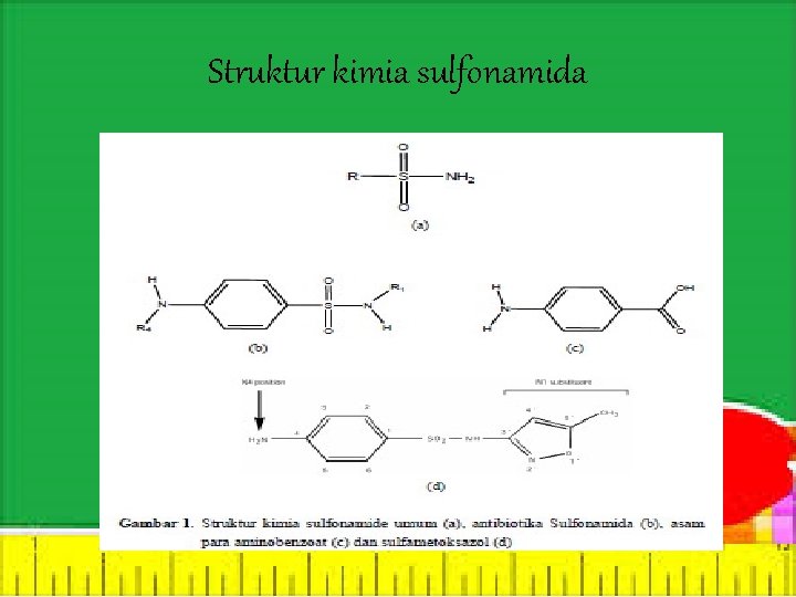 Struktur kimia sulfonamida 