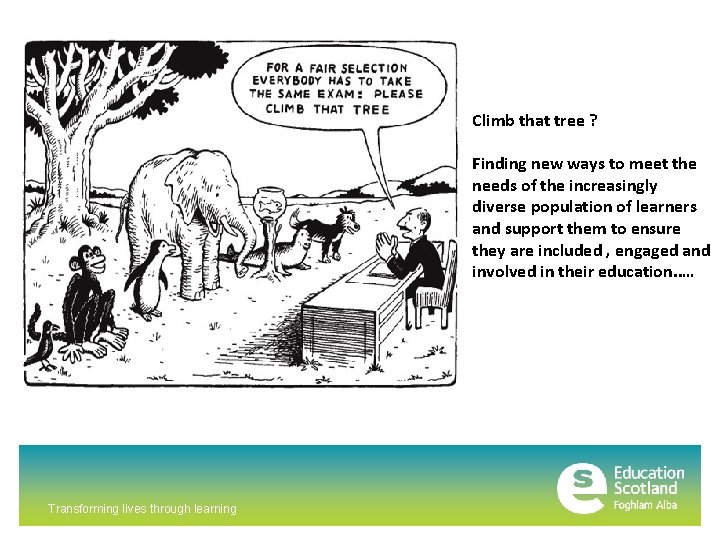 Climb that tree ? Finding new ways to meet the needs of the increasingly