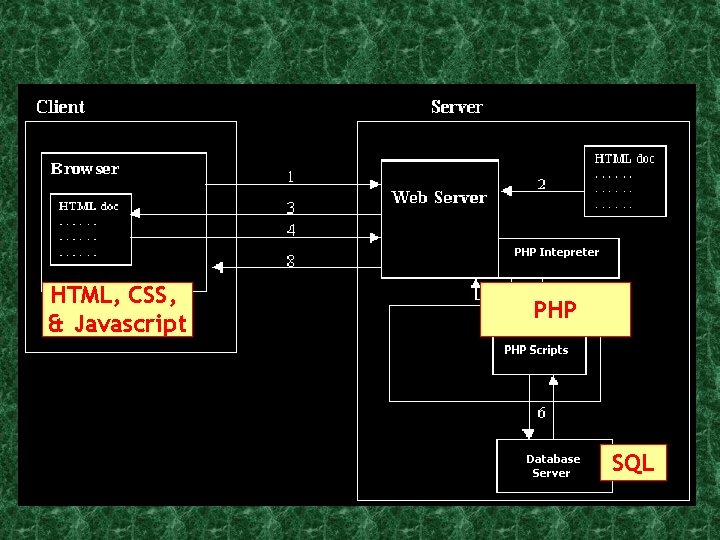 HTML, CSS, & Javascript PHP SQL HTML, CSS, & Javascript PHP SQL