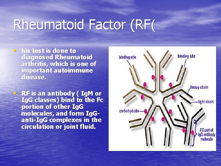 Rheumatoid Factor (RF( • his test is done to diagnosed Rheumatoid arthritis, which is