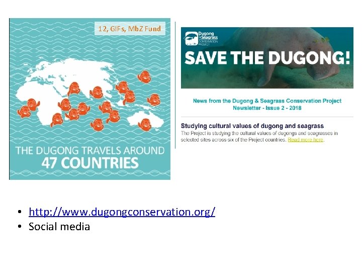 12, GIFs, Mb. Z Fund • http: //www. dugongconservation. org/ • Social media 