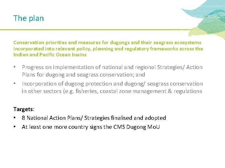 The plan Conservation priorities and measures for dugongs and their seagrass ecosystems incorporated into