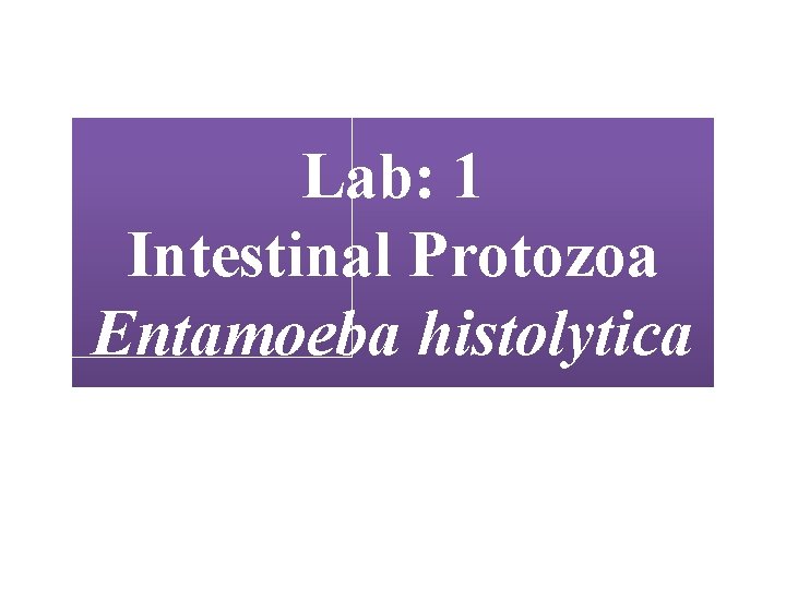 Lab: 1 Intestinal Protozoa Entamoeba histolytica 