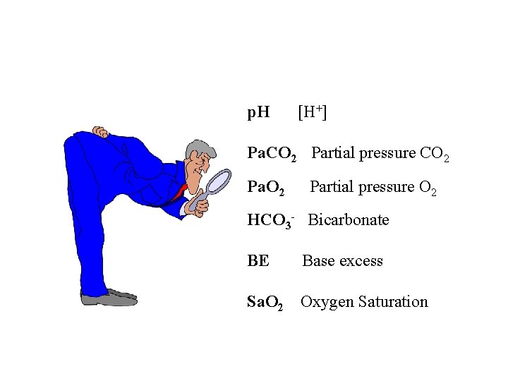 p. H [H+] Pa. CO 2 Partial pressure O 2 HCO 3 - Bicarbonate