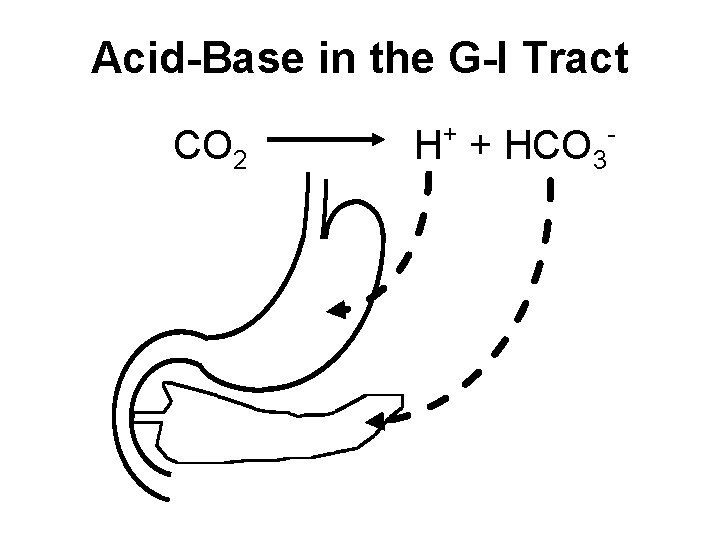 Acid-Base in the G-I Tract CO 2 + HCO 3 - 