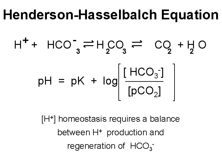 Henderson-Hasselbalch Equation + HCO 3 H 2 CO 3 p. H = p. K