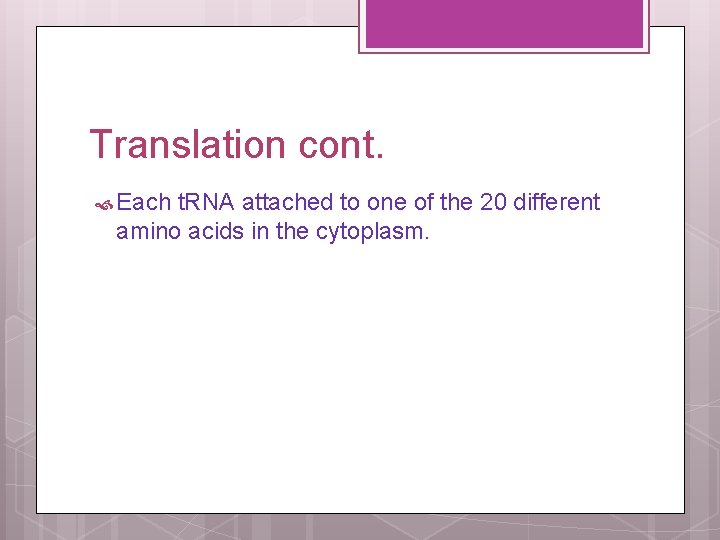 Translation cont. Each t. RNA attached to one of the 20 different amino acids