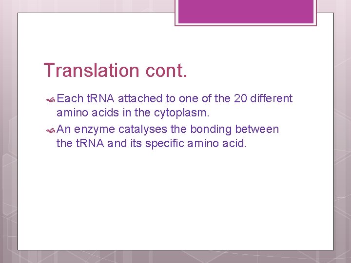 Translation cont. Each t. RNA attached to one of the 20 different amino acids